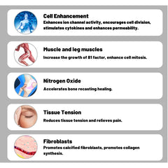 Best Shockwave Device For Tissue Repair Growth For Pain Relief 2 Handles Multi Therapy Physiotherapy And Pain Relief Machines