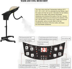 6 in 1 Ionic Hair Steamer Ultrasonic Micro Mist Ozone Hair Salon Steamer Standable O3 with Custom Logo for Salon Use