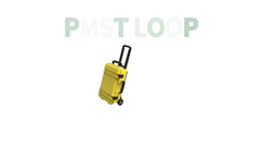 PMST PEMF EMTT Physio Magneto Therapy Magnetic Health Bone Joint Body Machine