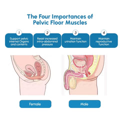 15 Tesla Ems Kegel Chair Pelvic Floor Machine Postpartum Ems Slimming Chair Machine