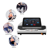 Magnetic Field Therapy Machine PMST Loop PEMF Pain Relief Physiotherapy Device
