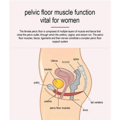 Ems Pelvic Floor Chair Urinary Incontinence Ems Pelvic Floor Chair Strengthening Pelvic Muscles Chair Promote machine