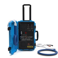 Clinic 6000Gauss PEMF Devices PMST Loop Magnetic Therapy for Humans Pain Relief