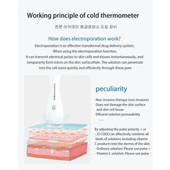 Cryo Facial Electro poration Cooling Heating Skin Lifting Skin Calming Ion Wrinkle Removal Machine