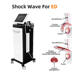 Best Shockwave Device For Tissue Repair Growth For Pain Relief 2 Handles Multi Therapy Physiotherapy And Pain Relief Machines