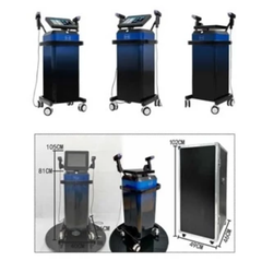 New Electrica Microneedle RF Depth 8 Double handles Face Lifting Machine Beauty Instrument