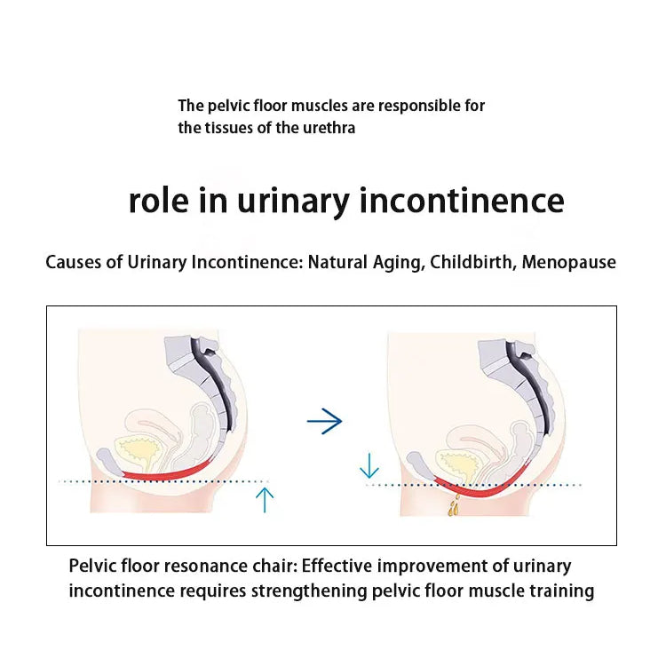Ems Pelvic Floor Chair Urinary Incontinence Ems Pelvic Floor Chair Strengthening Pelvic Muscles Chair Promote machine