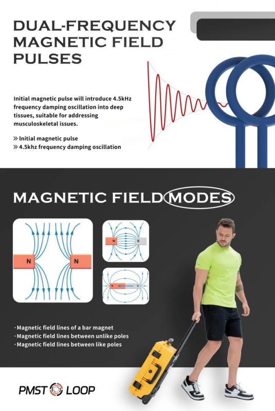 Clinic 6000Gauss PEMF Devices PMST Loop Magnetic Therapy for Humans Pain Relief