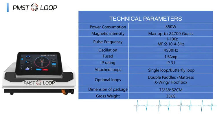 Magnetic Field Therapy Machine PMST Loop PEMF Pain Relief Physiotherapy Device