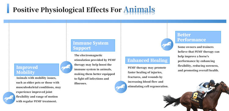 PEMF Rehabilitation and Recovery Joint Treatment Inflammation Relaxes PMST LOOP