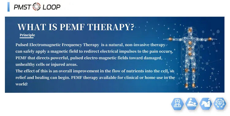 Magnetic Field Therapy Machine PMST Loop PEMF Pain Relief Physiotherapy Device