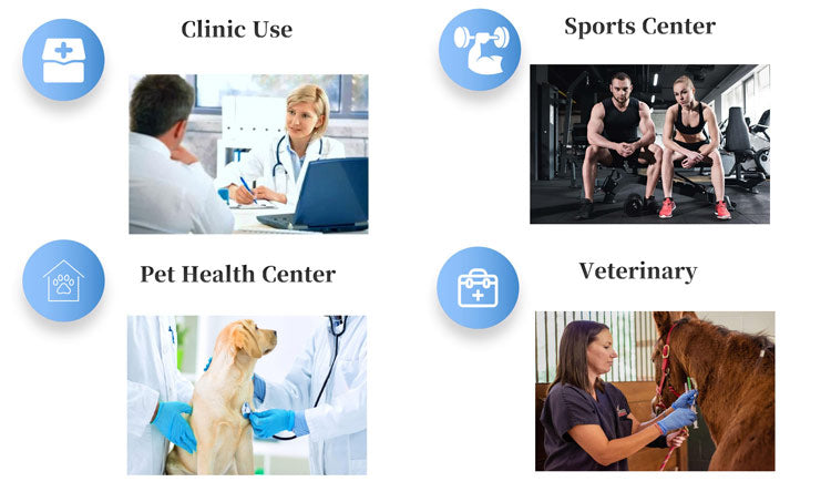 PEMF Rehabilitation and Recovery Joint Treatment Inflammation Relaxes PMST LOOP