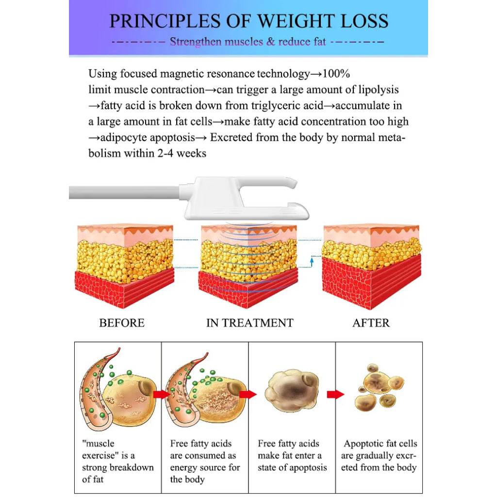 New Technology Medical Weight Loss Fat Removal Ems Machine For abdomen body arms