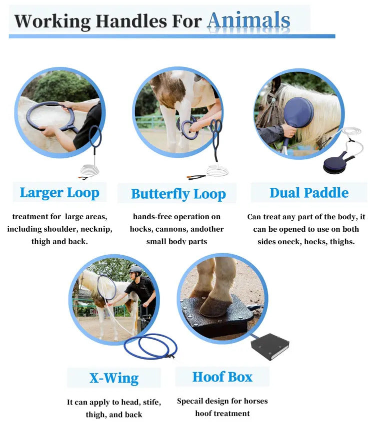 PMST Loop PEMF Magnetic Pad for Body Improvement and Pain Reduction Therapy