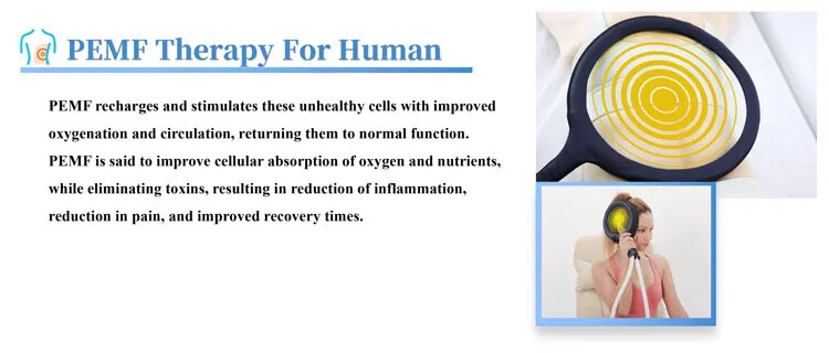 Magnetic Field Therapy Machine PMST Loop PEMF Pain Relief Physiotherapy Device