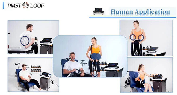 Magnetic Field Therapy Machine PMST Loop PEMF Pain Relief Physiotherapy Device