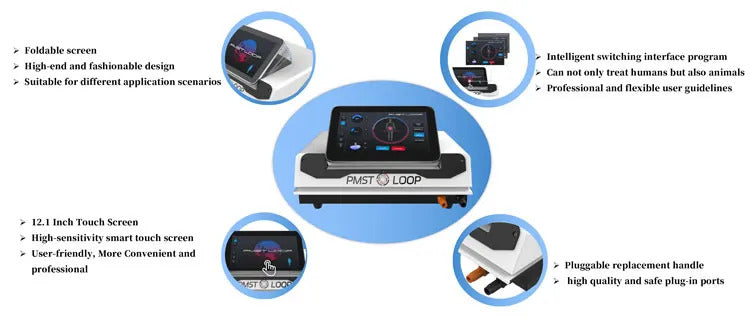 Magnetic Field Therapy Machine PMST Loop PEMF Pain Relief Physiotherapy Device