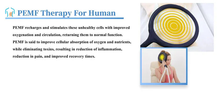 Magnetic Field Therapy Machine PMST Loop PEMF Pain Relief Physiotherapy Device
