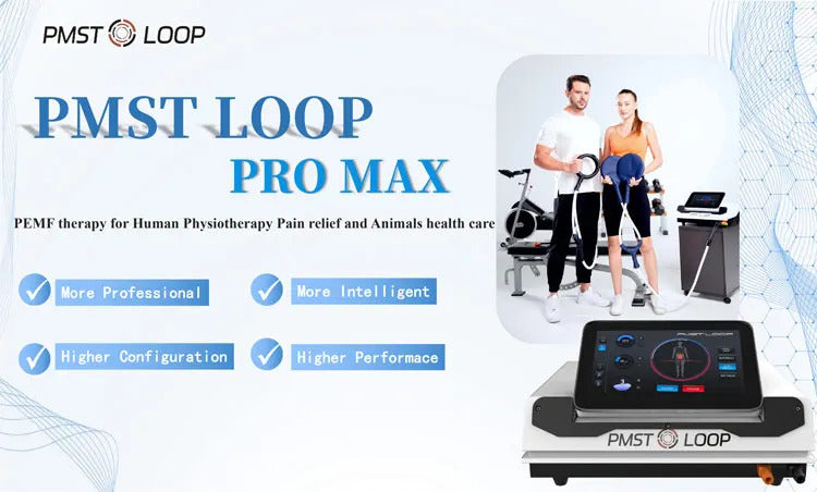 Magnetic Field Therapy Machine PMST Loop PEMF Pain Relief Physiotherapy Device