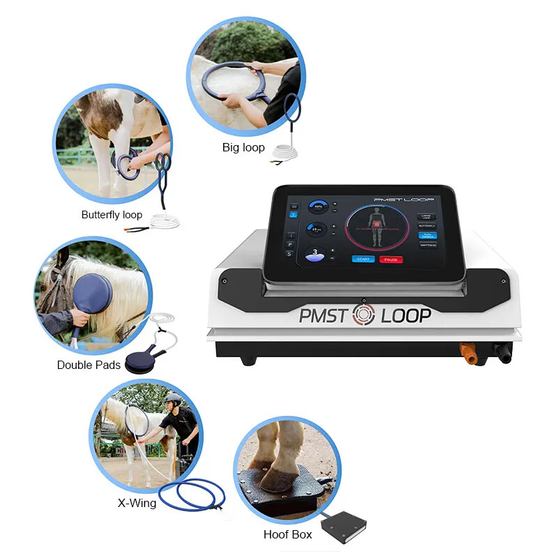 PMST Loop PEMF Magnetic Pad for Body Improvement and Pain Reduction Therapy