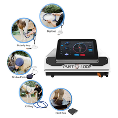 PMST Loop PEMF Magnetic Pad for Body Improvement and Pain Reduction Therapy