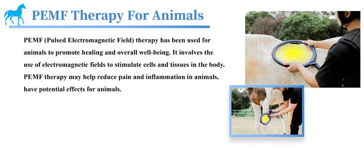 PEMF Rehabilitation and Recovery Joint Treatment Inflammation Relaxes PMST LOOP