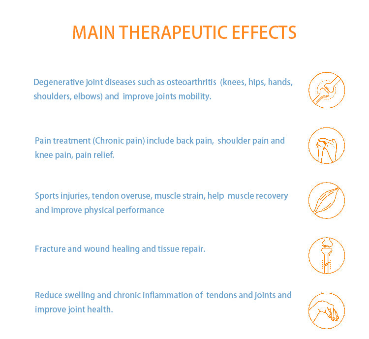 Portable Emtt Physio Magneto Therapy Magnetoterapia Pain Relief PEMF Sports Injury Therapy Magnetotherapy Physiotherapy Machine