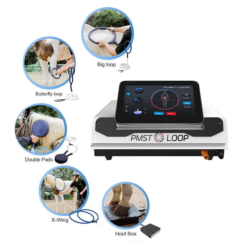 PMST Loop PEMF Magnetic Pad for Body Improvement and Pain Reduction Therapy